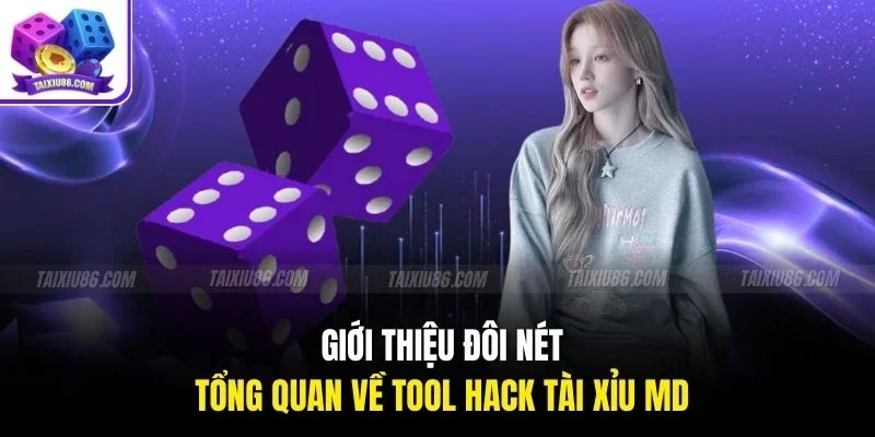 Giới thiệu đôi nét tổng quan về tool hack tài xỉu MD