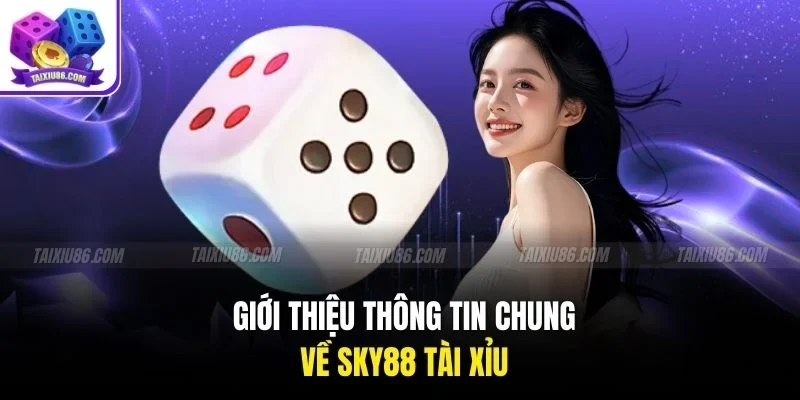 Giới thiệu thông tin chung về sky88 tài xỉu